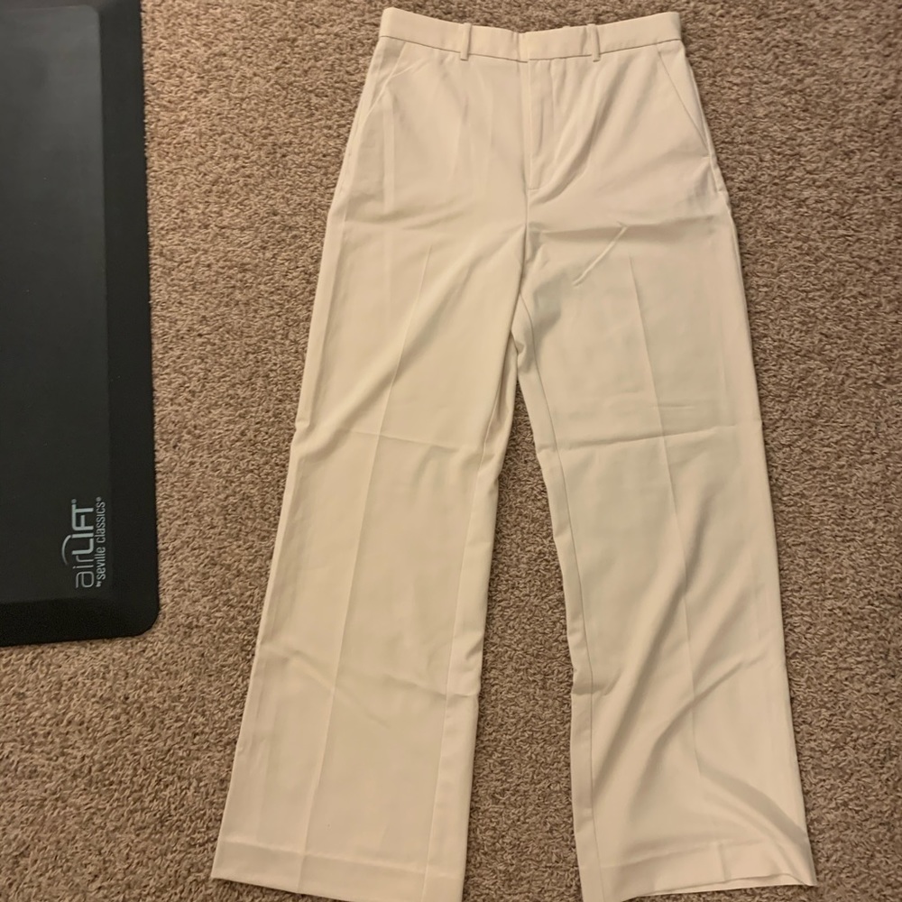 Mango pants